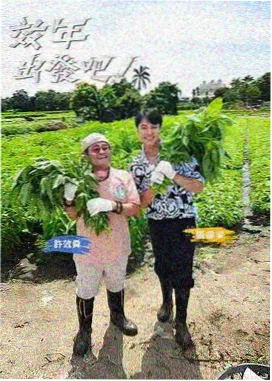 游乐场幕后日记 封面